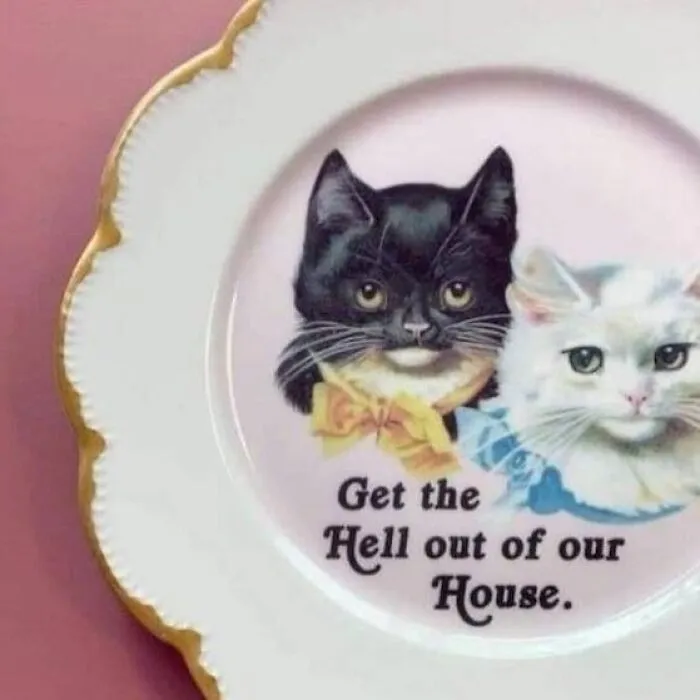 50 Posts So Unhinged, You May End Up Laughing While Glancing Over Your Shoulder