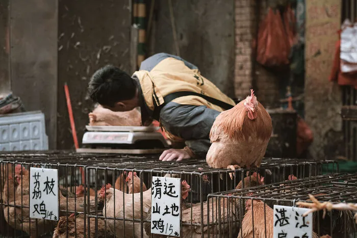 21 Photos I Took To Show The Authentic Side Of A Farmers’ Market In China