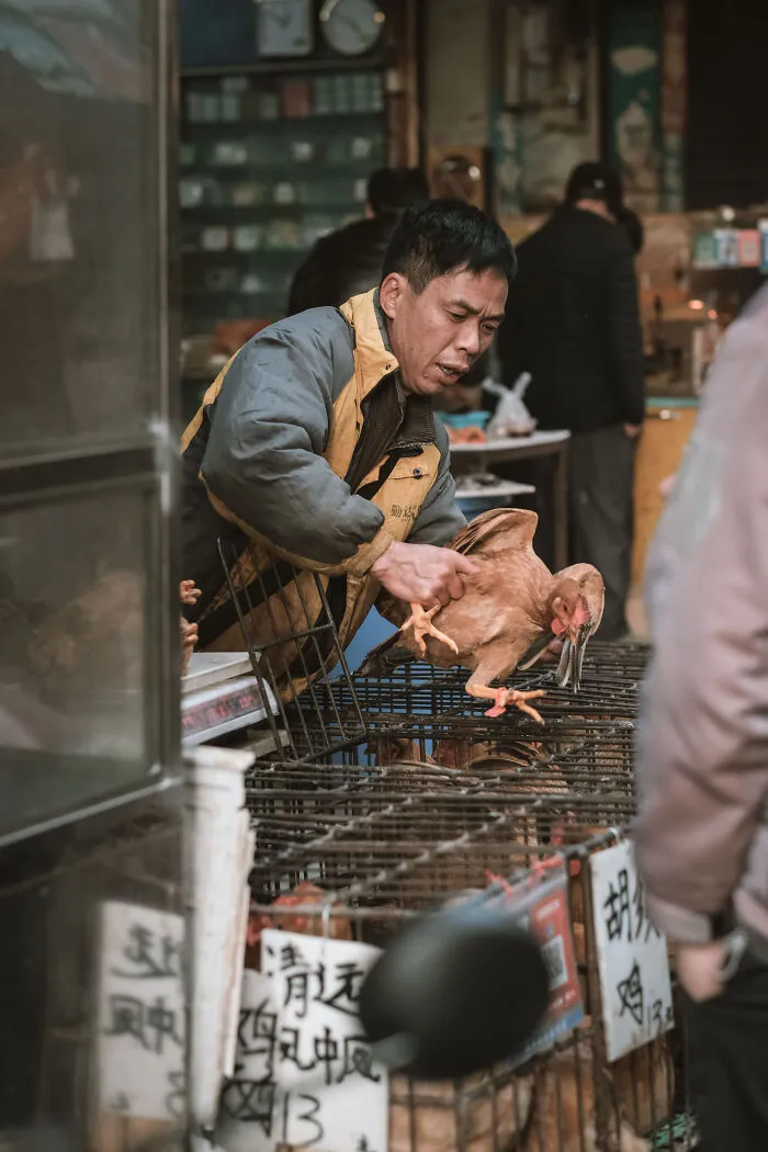 21 Photos I Took To Show The Authentic Side Of A Farmers’ Market In China