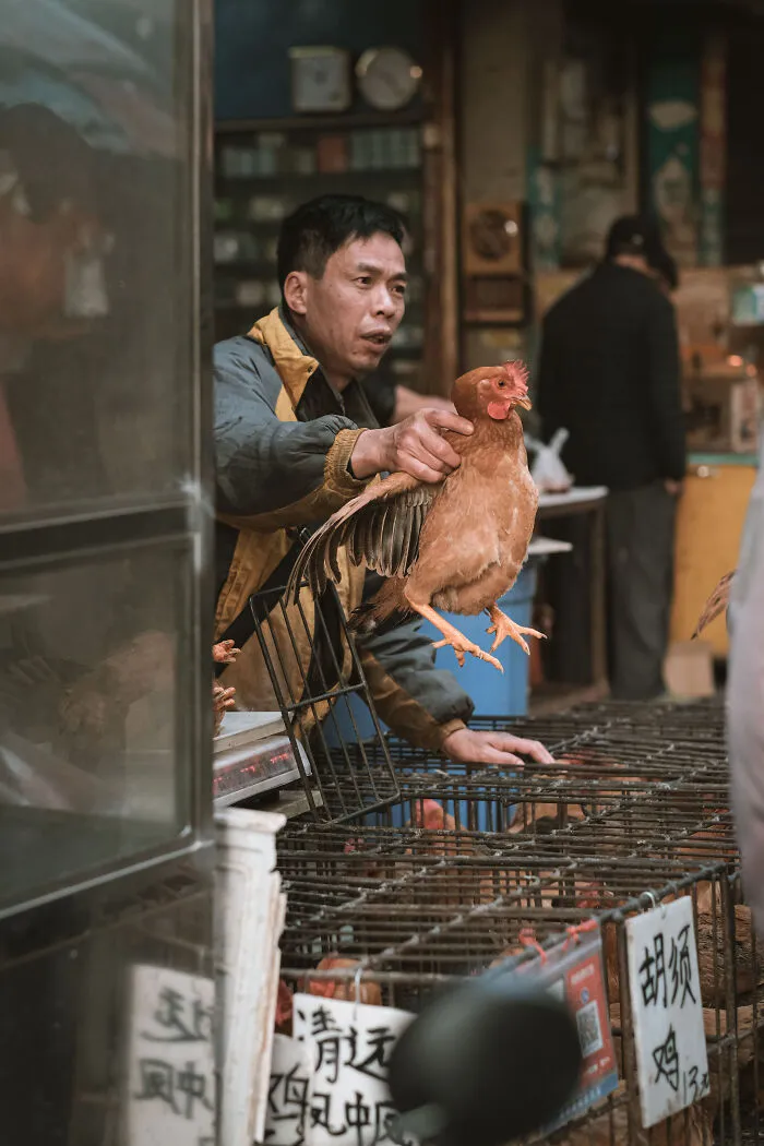 21 Photos I Took To Show The Authentic Side Of A Farmers’ Market In China