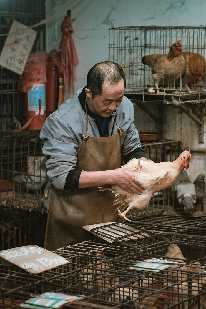 21 Photos I Took To Show The Authentic Side Of A Farmers’ Market In China