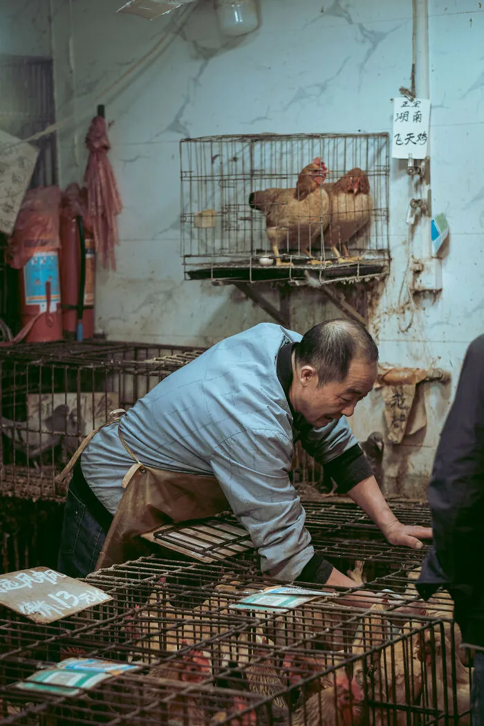 21 Photos I Took To Show The Authentic Side Of A Farmers’ Market In China