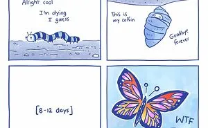 32 Hilariously Insightful Comics You Might Relate To Illustrated By Emily Mcgovern