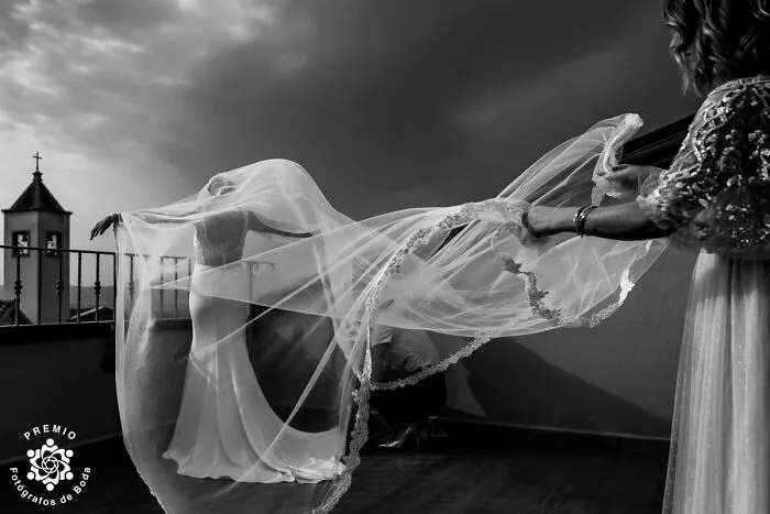 Veil Goals: Caught In The Wind, Just Right By Daria Manuedda