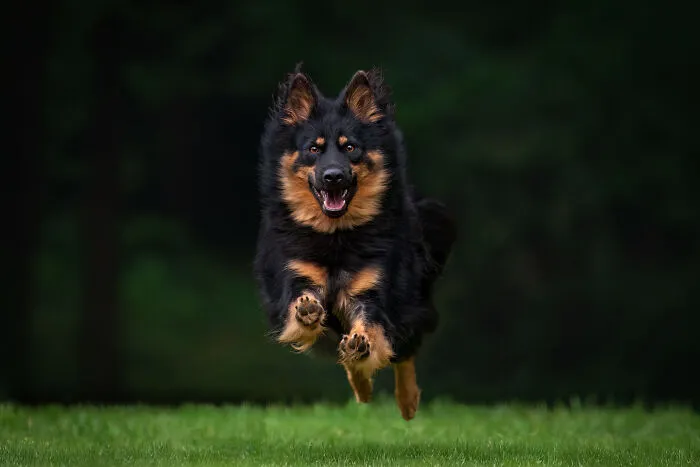 Action Category Finalist Gaétane Marchand