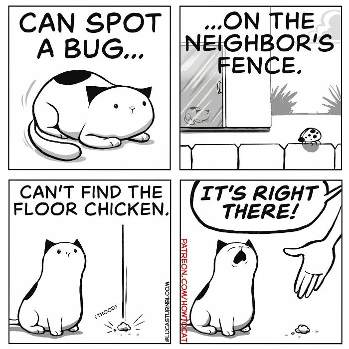 20 Comics That Highlight Hilariously Relatable Cat Behaviors, Illustrated By Lucas Turnbloom (New Pics)