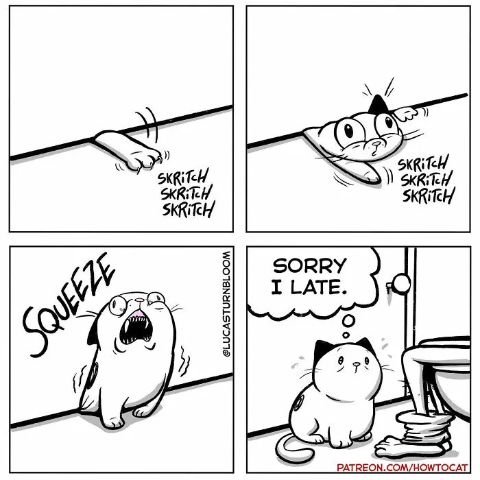 20 Comics That Highlight Hilariously Relatable Cat Behaviors, Illustrated By Lucas Turnbloom (New Pics)
