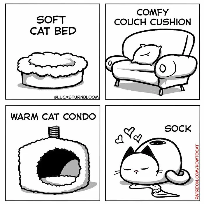 20 Comics That Highlight Hilariously Relatable Cat Behaviors, Illustrated By Lucas Turnbloom (New Pics)
