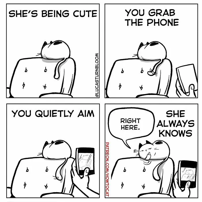 20 Comics That Highlight Hilariously Relatable Cat Behaviors, Illustrated By Lucas Turnbloom (New Pics)