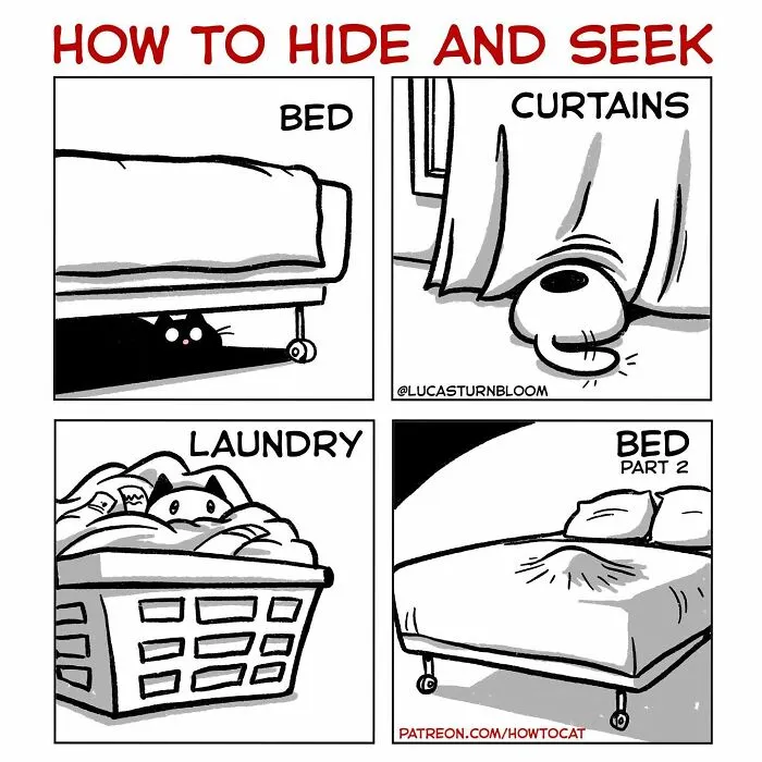 20 Comics That Highlight Hilariously Relatable Cat Behaviors, Illustrated By Lucas Turnbloom (New Pics)