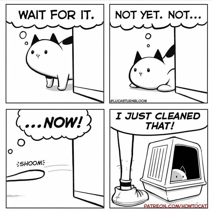 20 Comics That Highlight Hilariously Relatable Cat Behaviors, Illustrated By Lucas Turnbloom (New Pics)