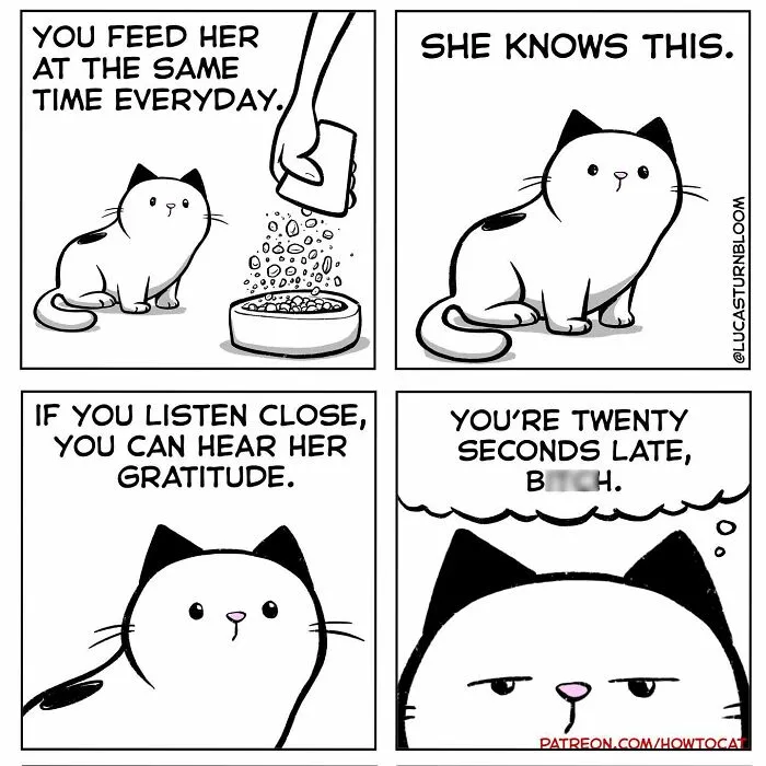 20 Comics That Highlight Hilariously Relatable Cat Behaviors, Illustrated By Lucas Turnbloom (New Pics)
