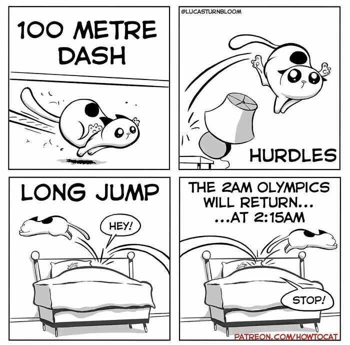 20 Comics That Highlight Hilariously Relatable Cat Behaviors, Illustrated By Lucas Turnbloom (New Pics)