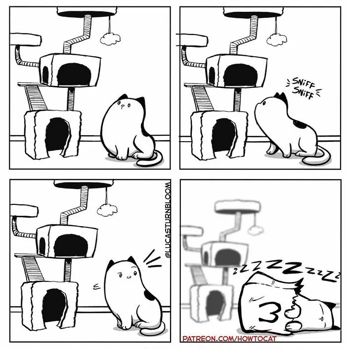 20 Comics That Highlight Hilariously Relatable Cat Behaviors, Illustrated By Lucas Turnbloom (New Pics)