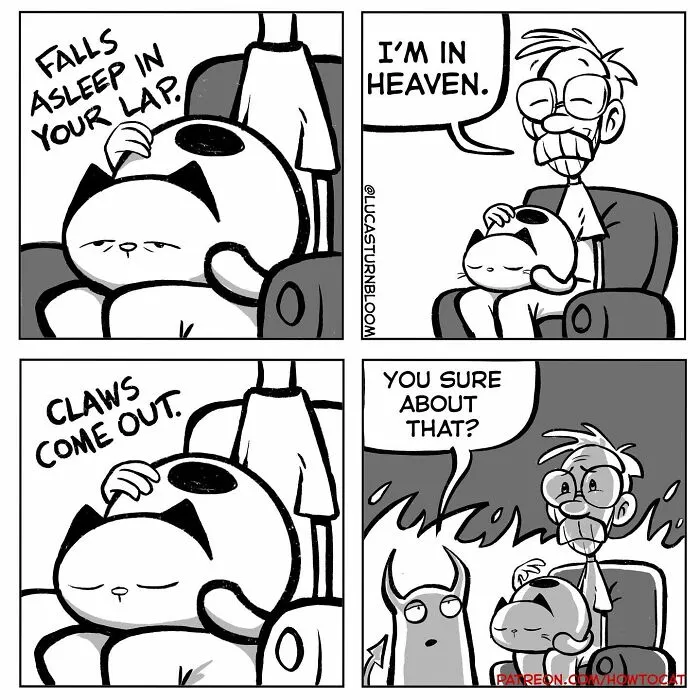 20 Comics That Highlight Hilariously Relatable Cat Behaviors, Illustrated By Lucas Turnbloom (New Pics)