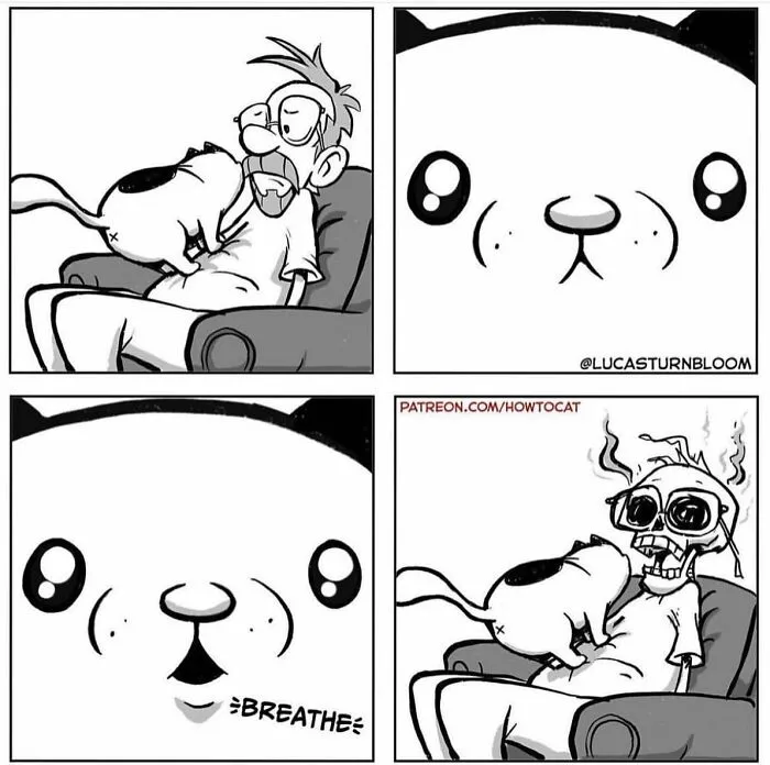 20 Comics That Highlight Hilariously Relatable Cat Behaviors, Illustrated By Lucas Turnbloom (New Pics)