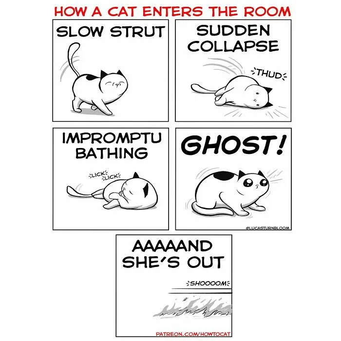 20 Comics That Highlight Hilariously Relatable Cat Behaviors, Illustrated By Lucas Turnbloom (New Pics)
