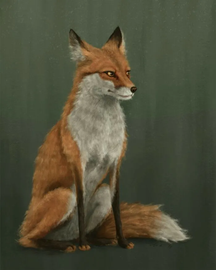 The Woodland Fox