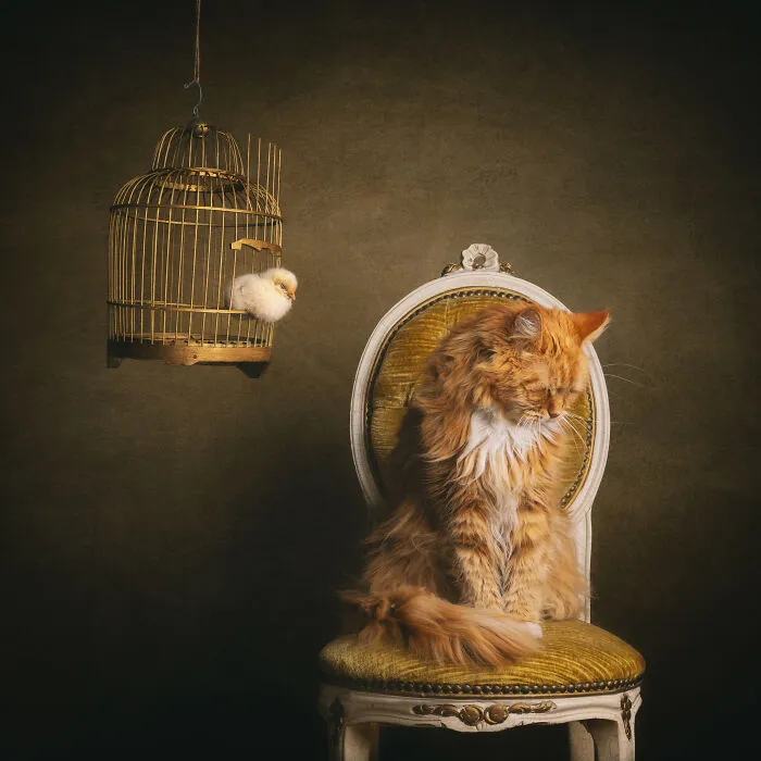 Portrait Category Finalist Mirka Koot