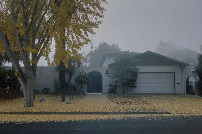 “Fading”: The Quiet Poetry Of Suburban Disconnection By Mischa Lluch (20 Pics)
