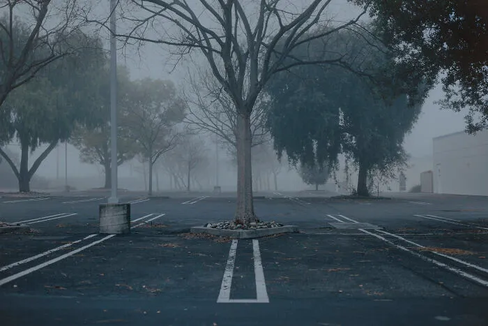 “Fading”: The Quiet Poetry Of Suburban Disconnection By Mischa Lluch (20 Pics)