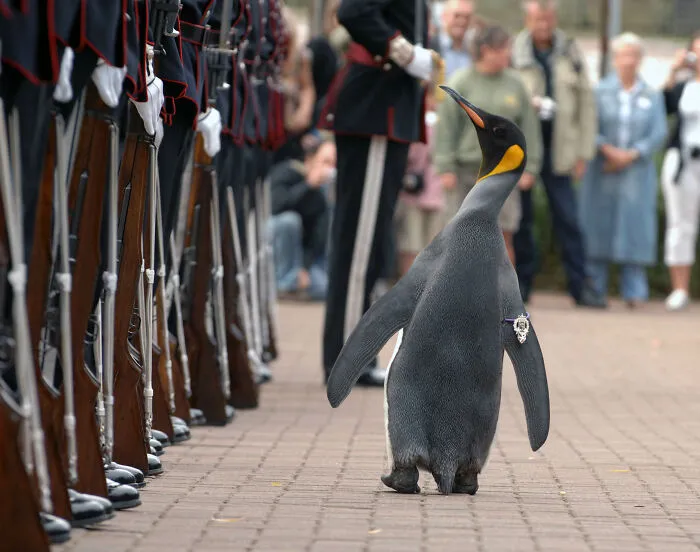 30 Moments In History That Got Ghosted By Humanity