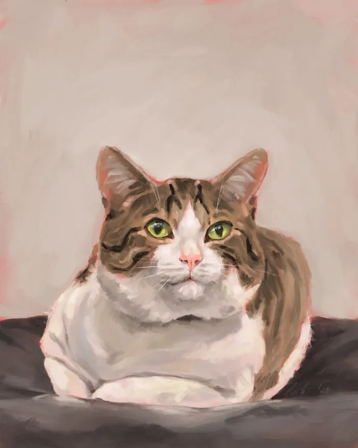 Dépanneur Cat