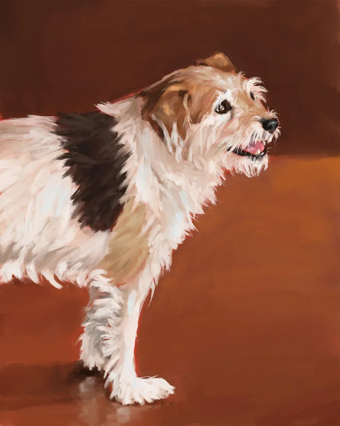 Coffee Shop Dog