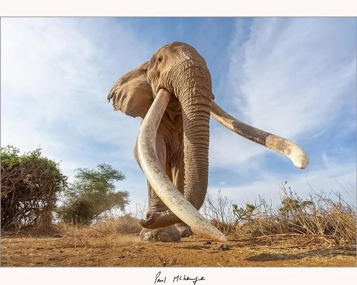 This Photographer’s Stunning Aerial And Wildlife Shots Might Make You See The World Differently (53 Pics)