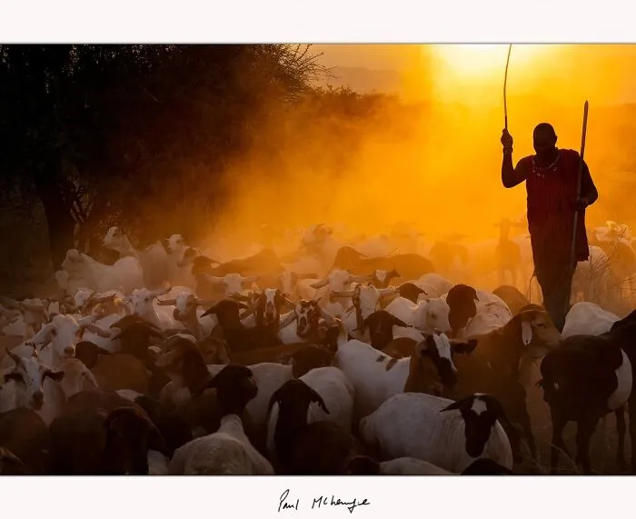 This Photographer’s Stunning Aerial And Wildlife Shots Might Make You See The World Differently (53 Pics)