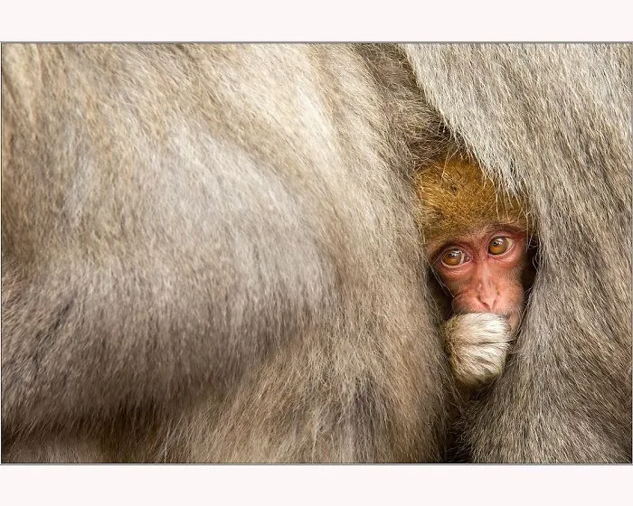 This Photographer’s Stunning Aerial And Wildlife Shots Might Make You See The World Differently (53 Pics)