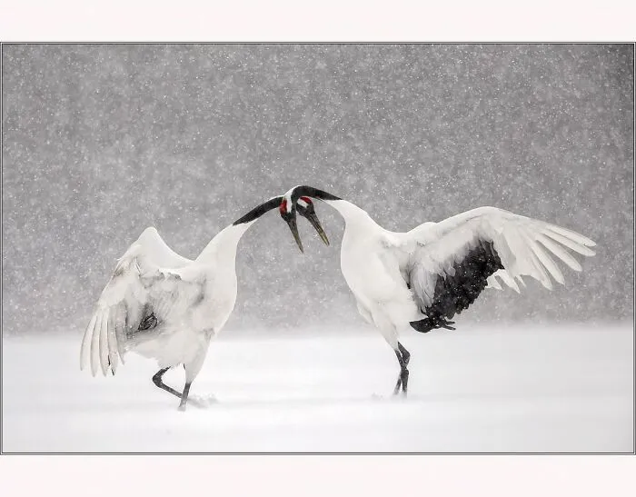 This Photographer’s Stunning Aerial And Wildlife Shots Might Make You See The World Differently (53 Pics)