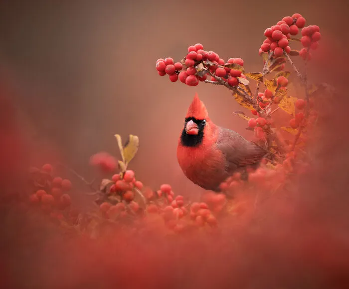 Highly Commended: Katie Brockman