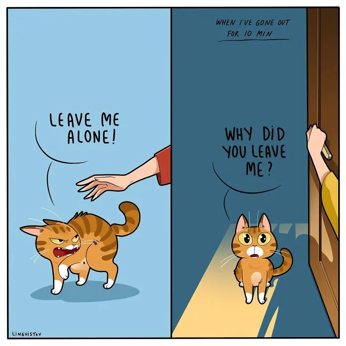 30 Hilarious New Comics by Lingvistov That Perfectly Capture Life With a Cat