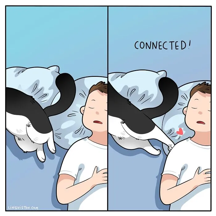 30 Hilarious New Comics by Lingvistov That Perfectly Capture Life With a Cat