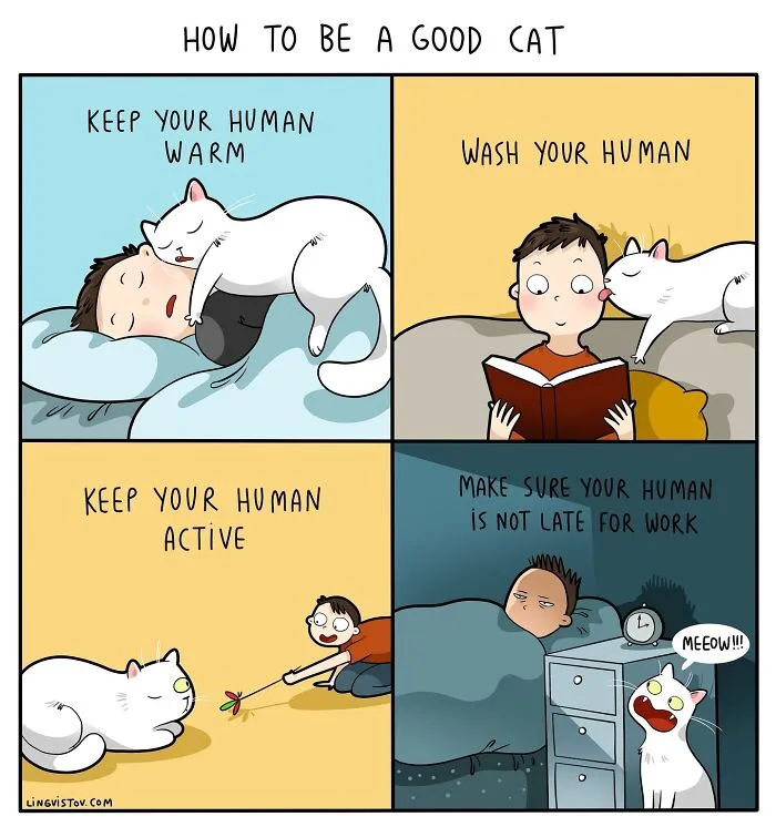 30 Hilarious New Comics by Lingvistov That Perfectly Capture Life With a Cat