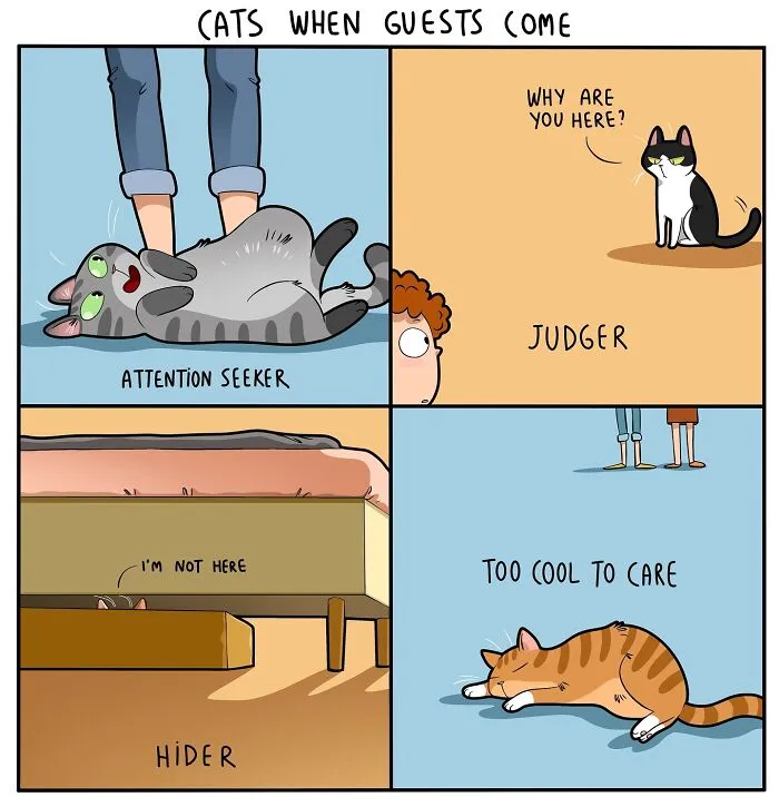 30 Hilarious New Comics by Lingvistov That Perfectly Capture Life With a Cat