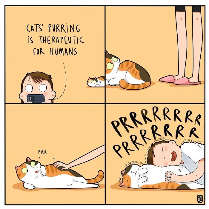 30 Hilarious New Comics by Lingvistov That Perfectly Capture Life With a Cat