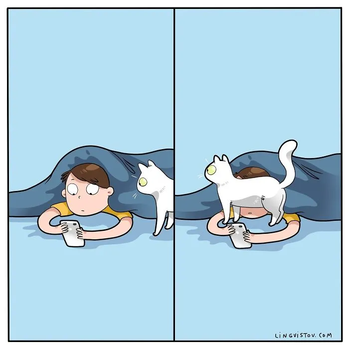 30 Hilarious New Comics by Lingvistov That Perfectly Capture Life With a Cat