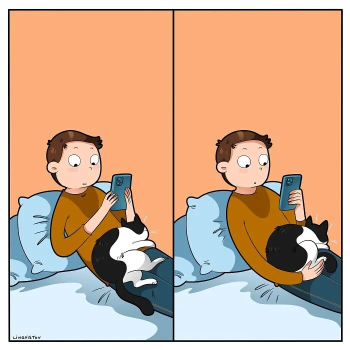 30 Hilarious New Comics by Lingvistov That Perfectly Capture Life With a Cat