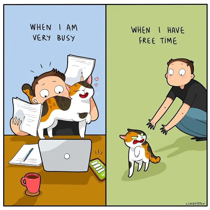 30 Hilarious New Comics by Lingvistov That Perfectly Capture Life With a Cat