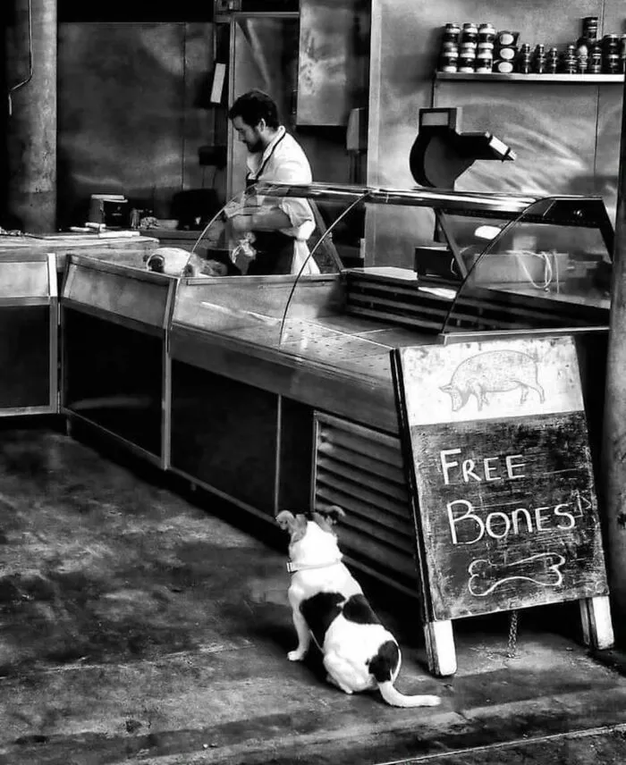 This Account Shares Amusing Street Photos—And Here Are The 35 Best Dog-Themed Examples