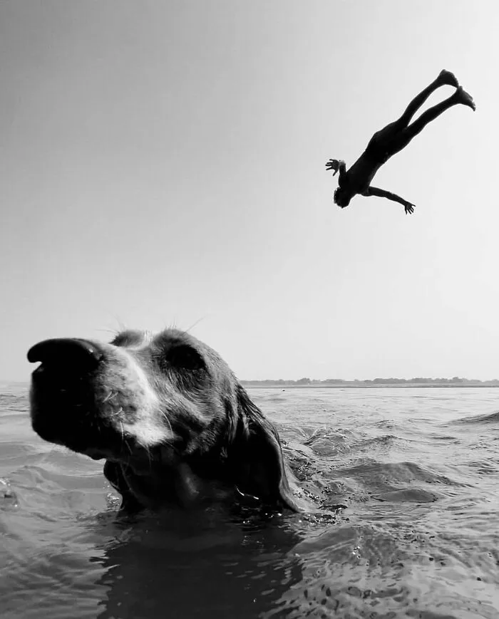 This Account Shares Amusing Street Photos—And Here Are The 35 Best Dog-Themed Examples