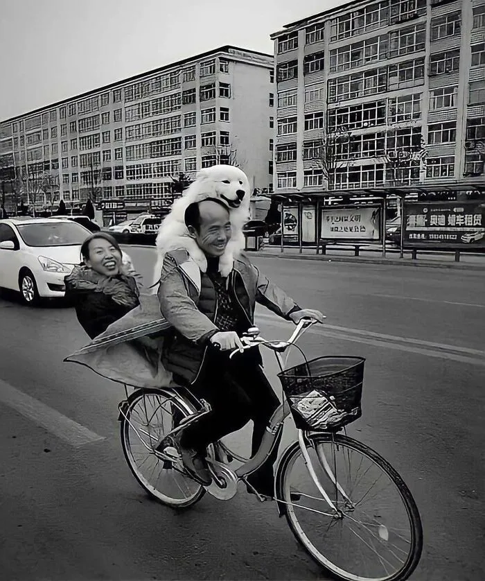 This Account Shares Amusing Street Photos—And Here Are The 35 Best Dog-Themed Examples