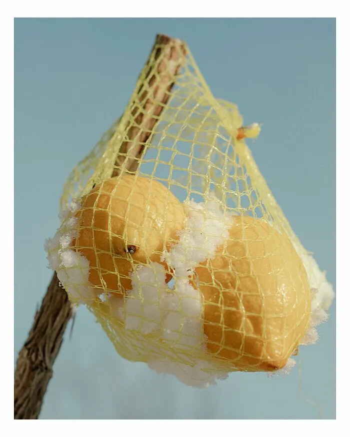 This Photographer Captured 45 Magical Moments, Revealing The Beauty In Everyday Objects