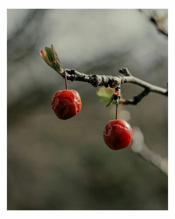 This Photographer Captured 45 Magical Moments, Revealing The Beauty In Everyday Objects
