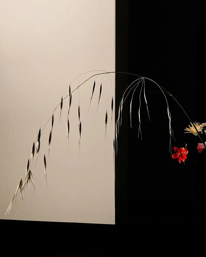 This Photographer Captured 45 Magical Moments, Revealing The Beauty In Everyday Objects