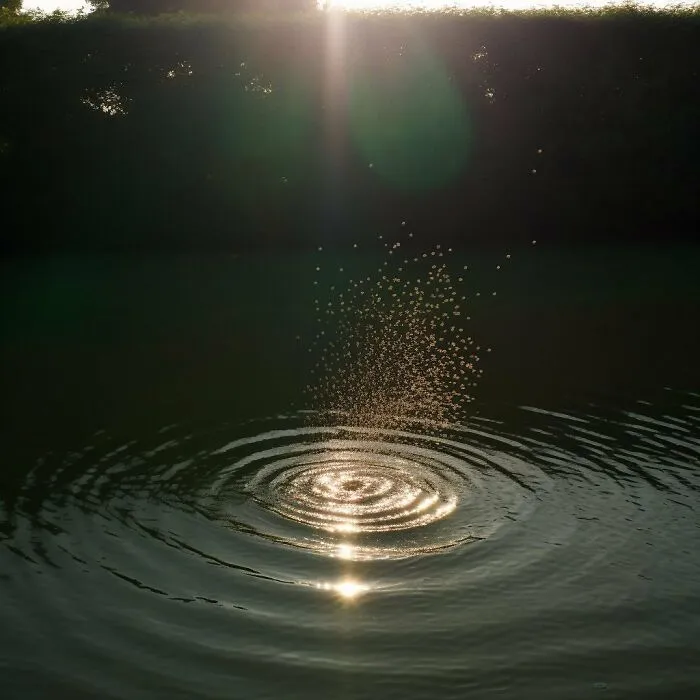 This Photographer Captured 45 Magical Moments, Revealing The Beauty In Everyday Objects