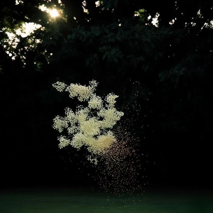 This Photographer Captured 45 Magical Moments, Revealing The Beauty In Everyday Objects