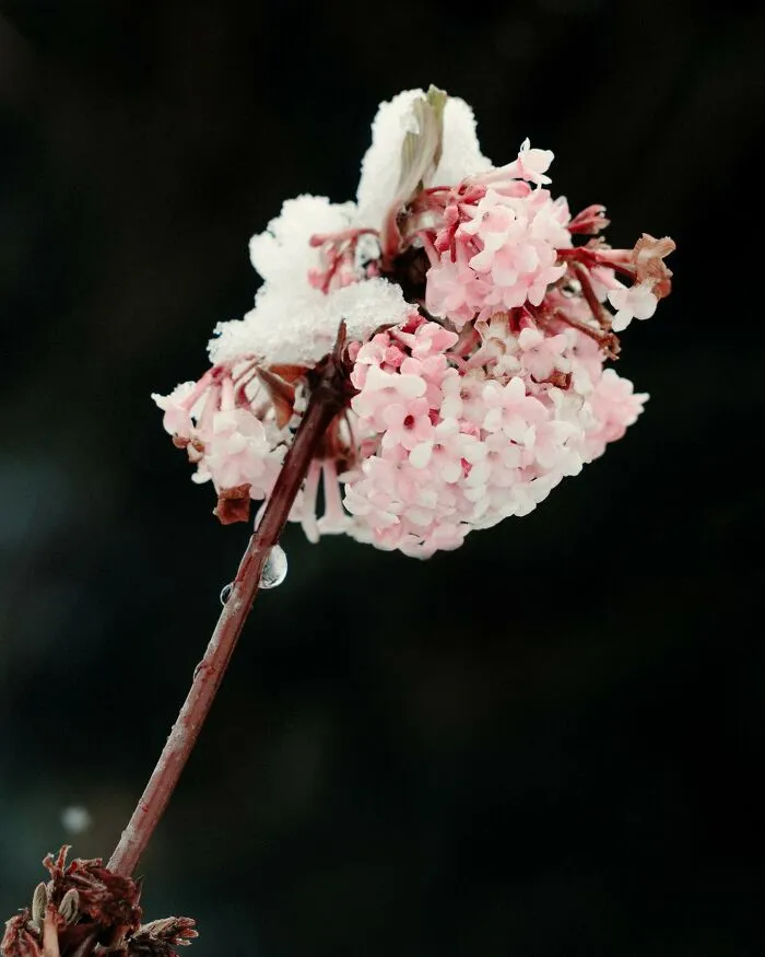 This Photographer Captured 45 Magical Moments, Revealing The Beauty In Everyday Objects